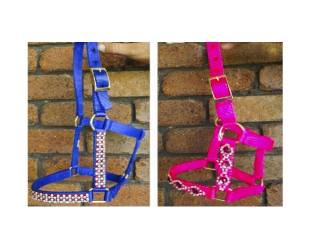 Web Crystal Halter